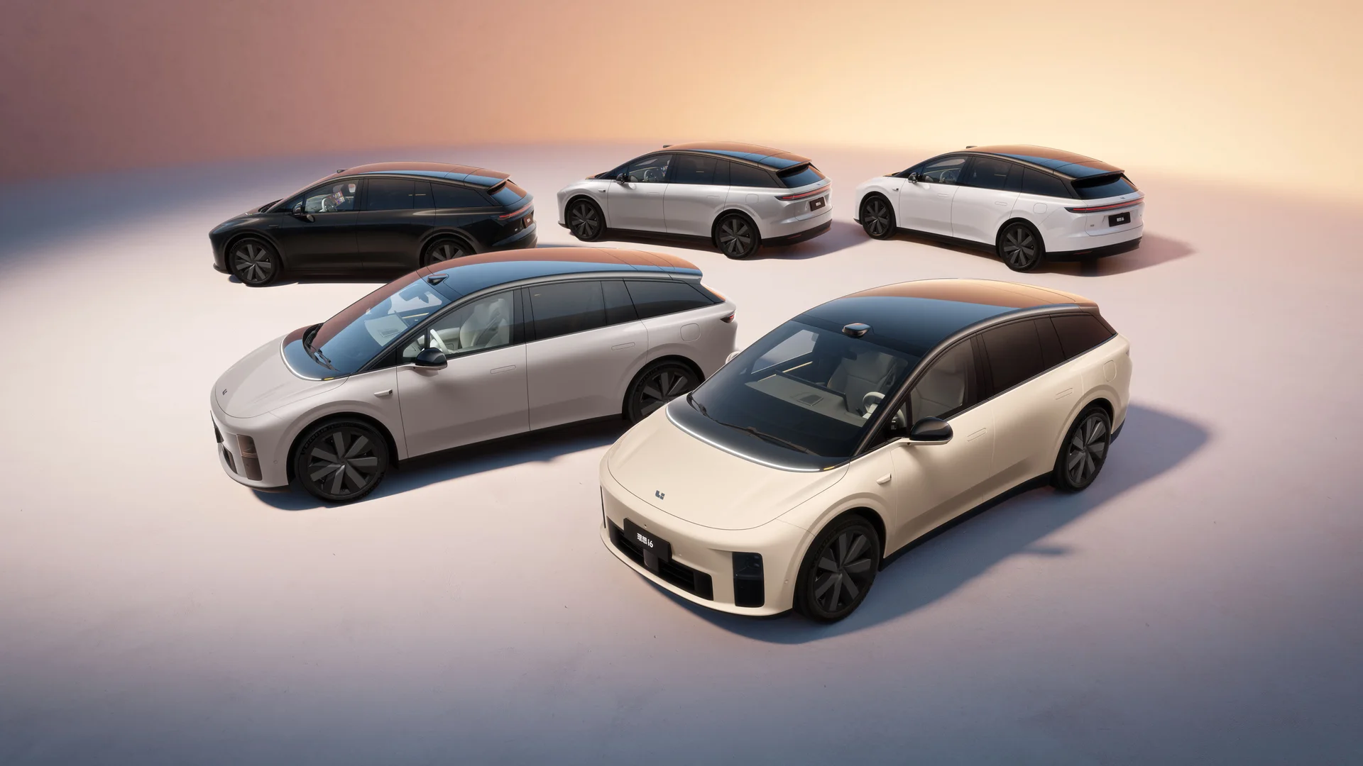 Li Auto i6 detail 5